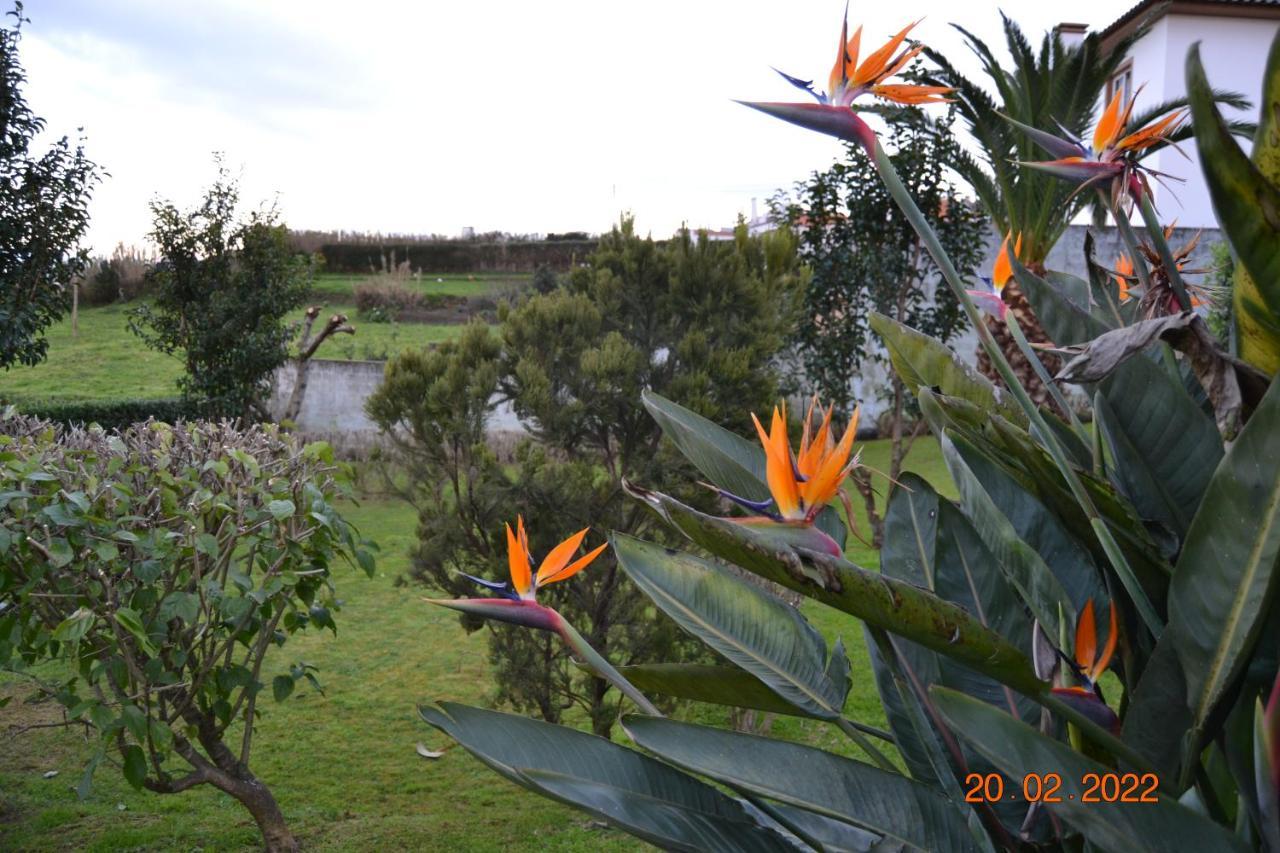 Tradicampo Eco Country Country house *
