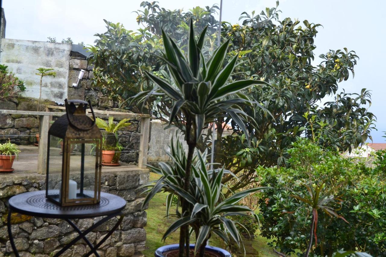 Tradicampo Eco Country *