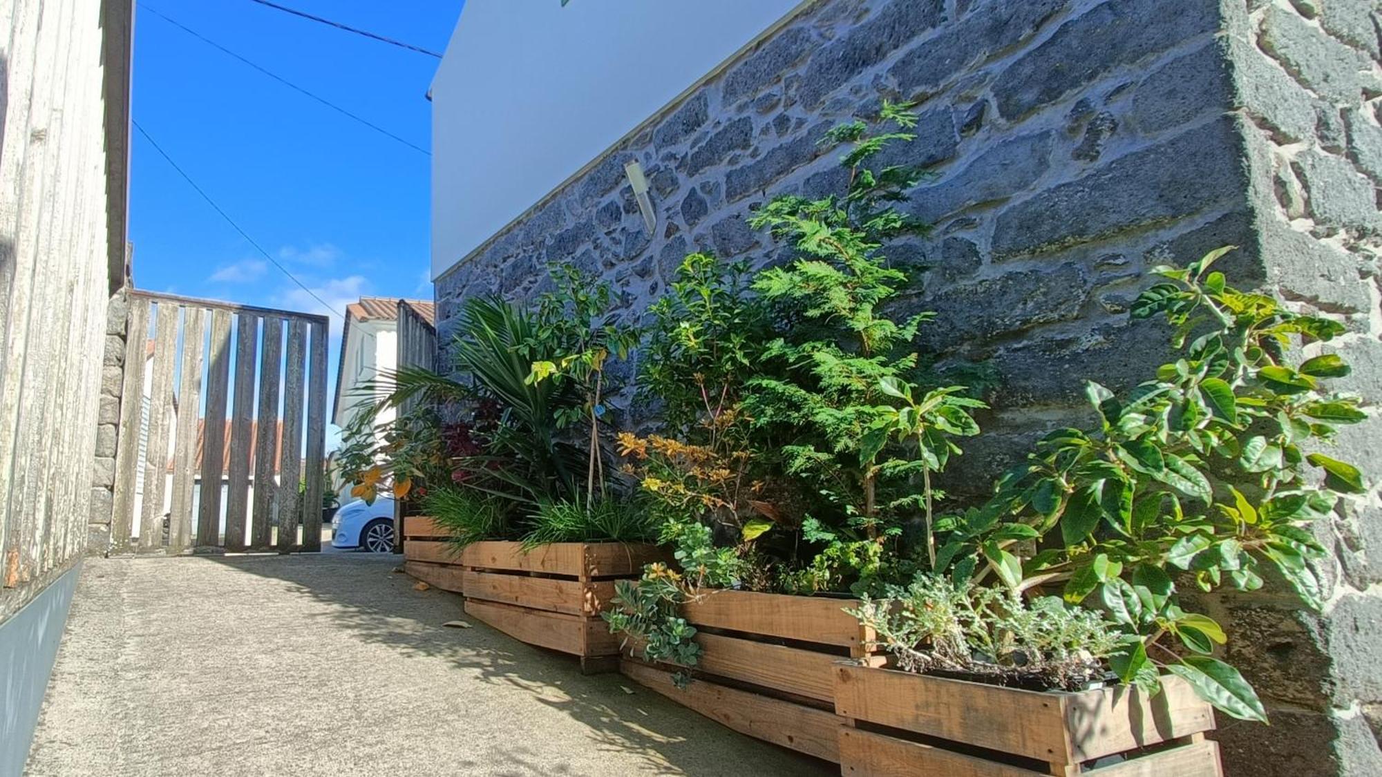 Tradicampo Eco Country * Nordeste (Azores)