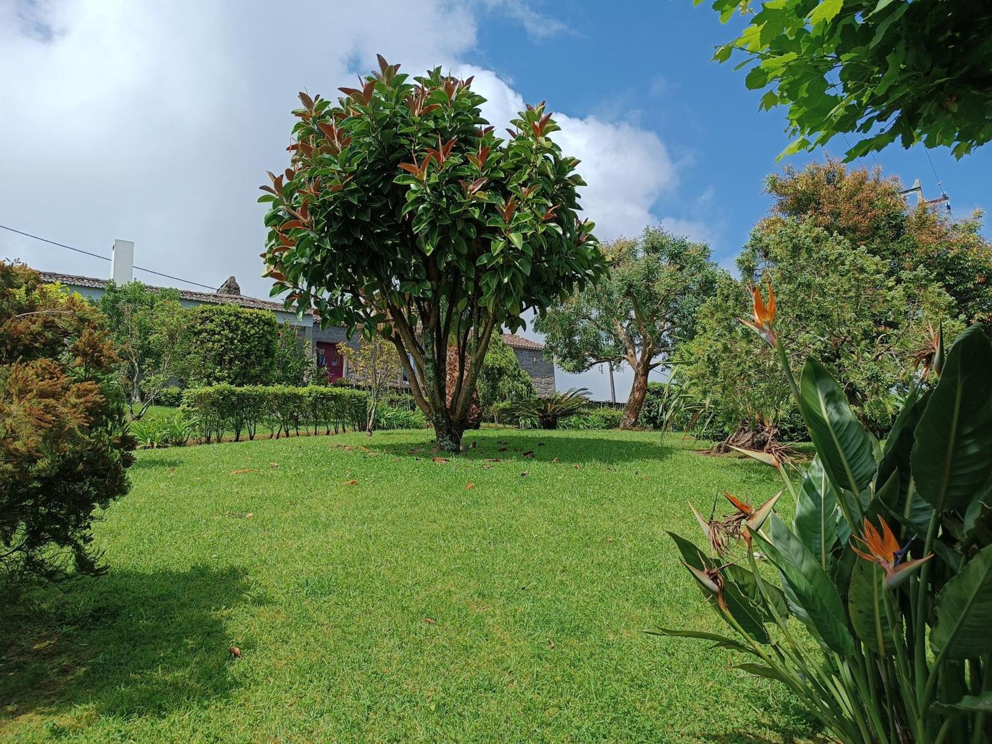 Tradicampo Eco Country Country house *