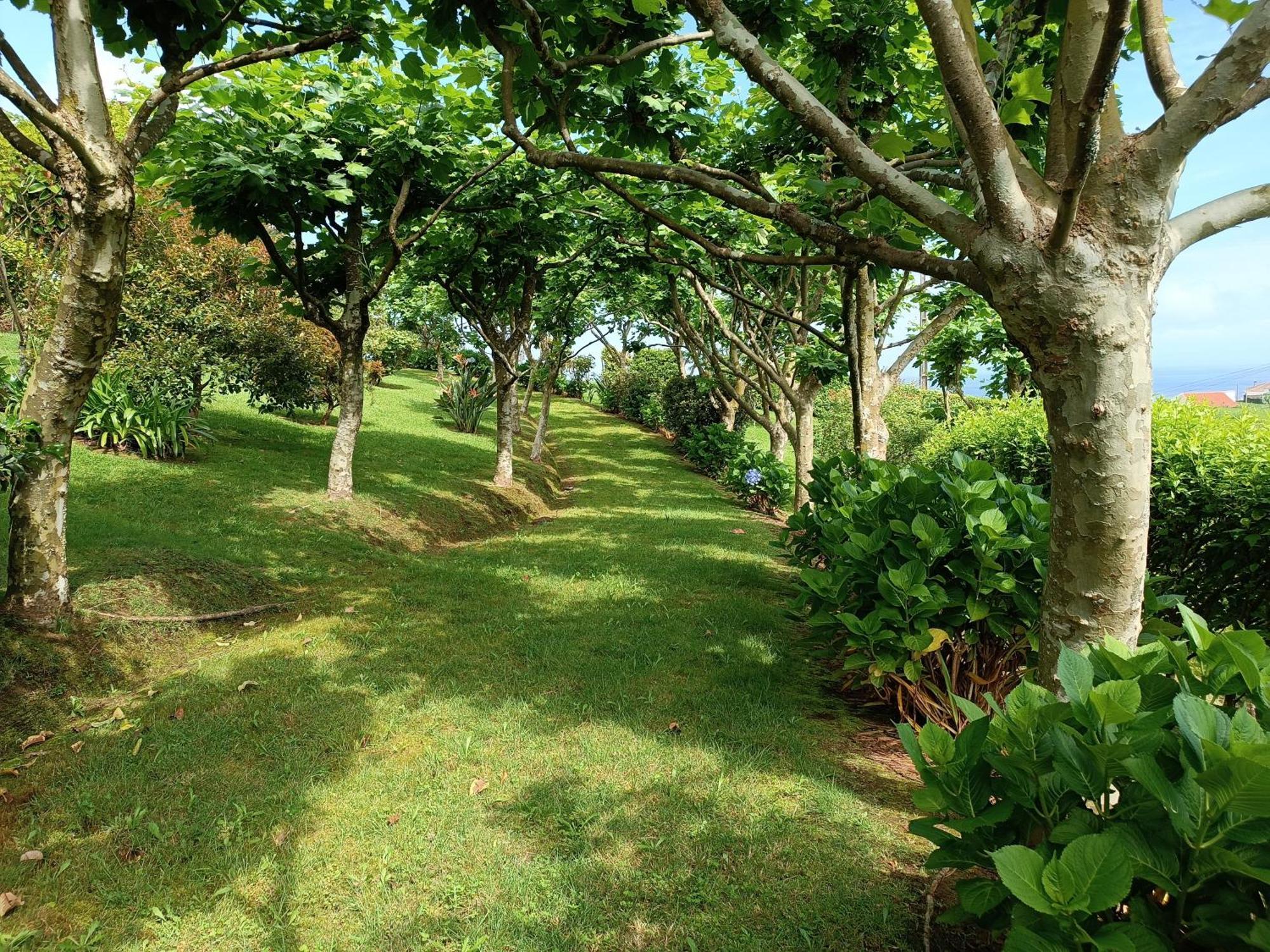 Tradicampo Eco Country Country house Nordeste (Azores)